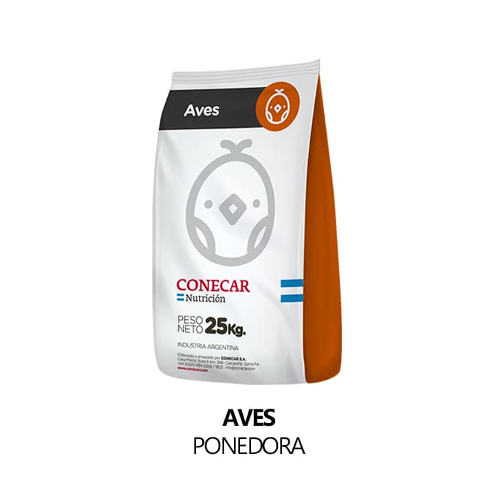 Aves (ponedora)