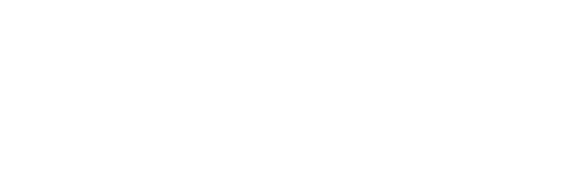 Logo de Naranja X