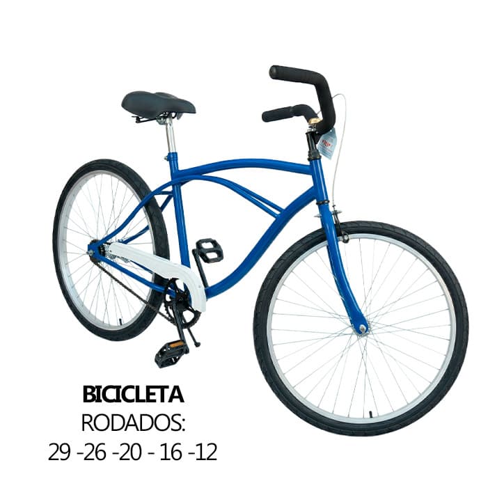 Bicicletas Playera r26 fire bird