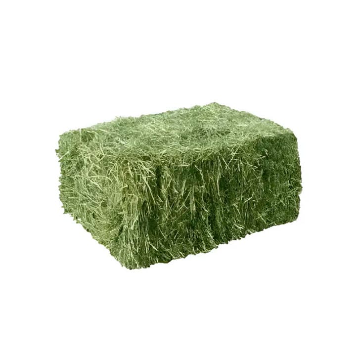 Fardo de pasto